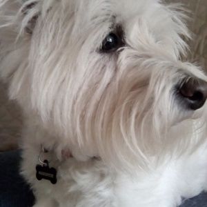 Meet your Posher, Anne